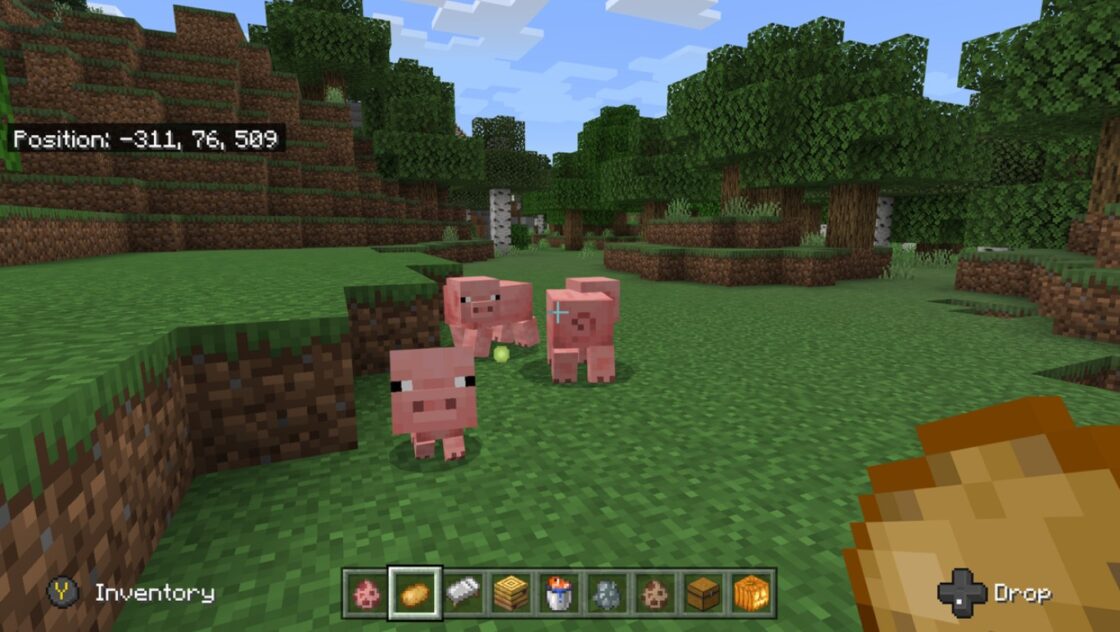 How To Breed Pigs In Minecraft? Secret Sand Scandals